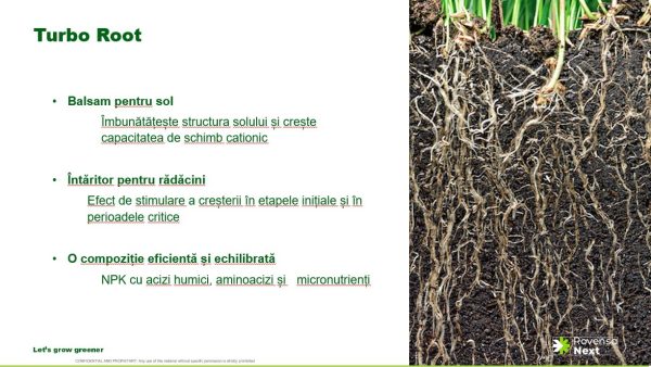 Turbo Root - 1 litru - imagine 3