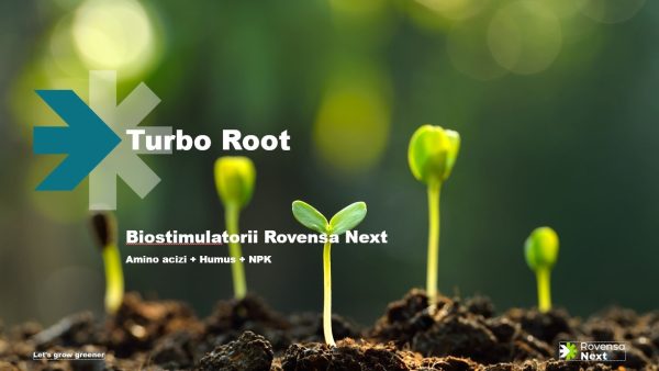 Turbo Root - 1 litru - imagine 2
