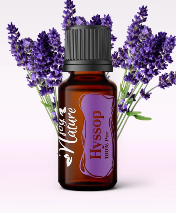 Hyssopus officinalis pachet 10 buc - imagine 4