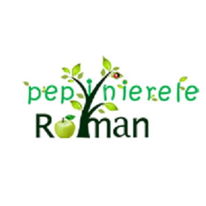 Pepinierele Roman