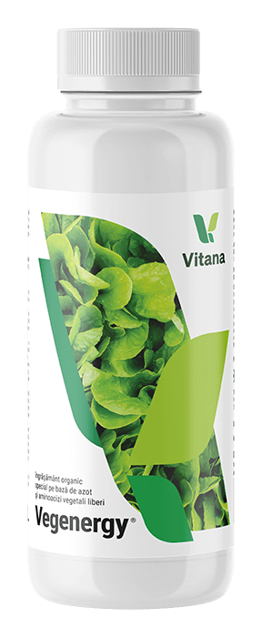 Vegenergy Vitana 500ml